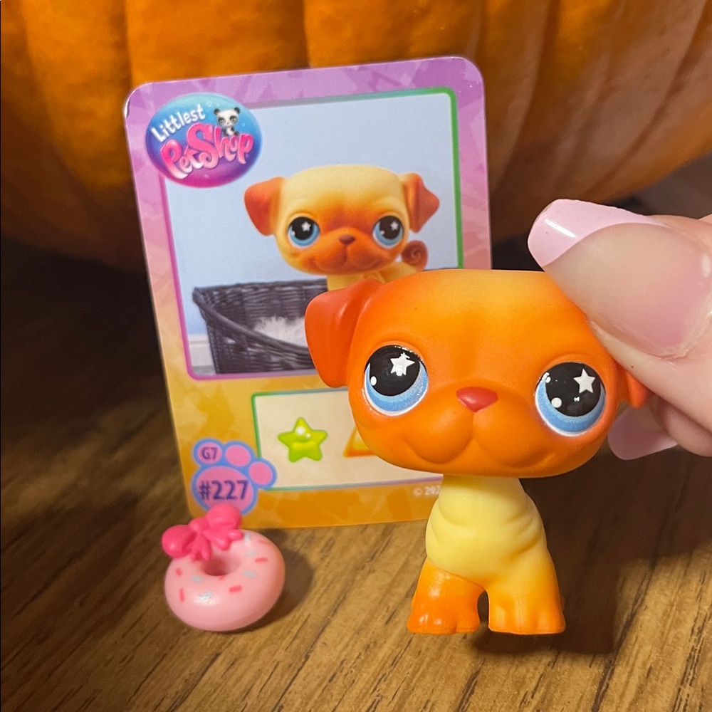 Littlest pet shop #227 pug